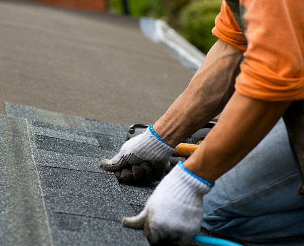 Best Roof Repair Services  in Lexington, VA